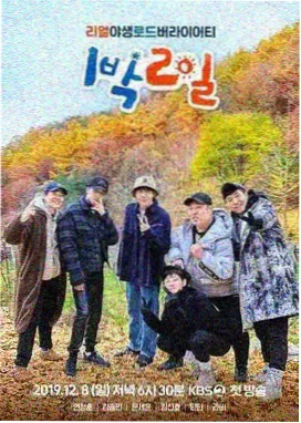 91啦在线视频 花儿与少年 综艺